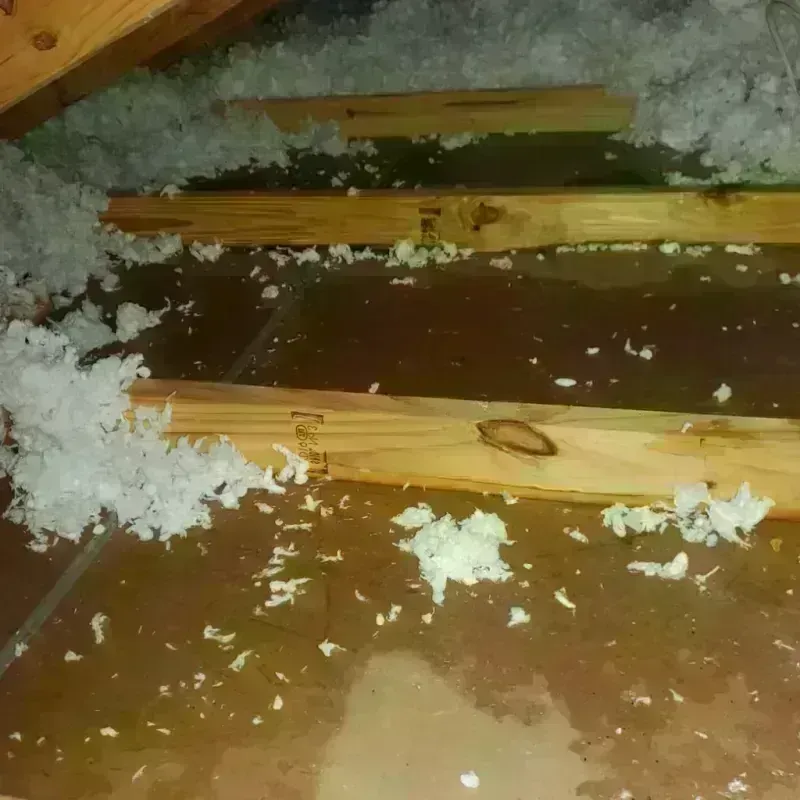 Attic Water Damage in Noxubee County, MS