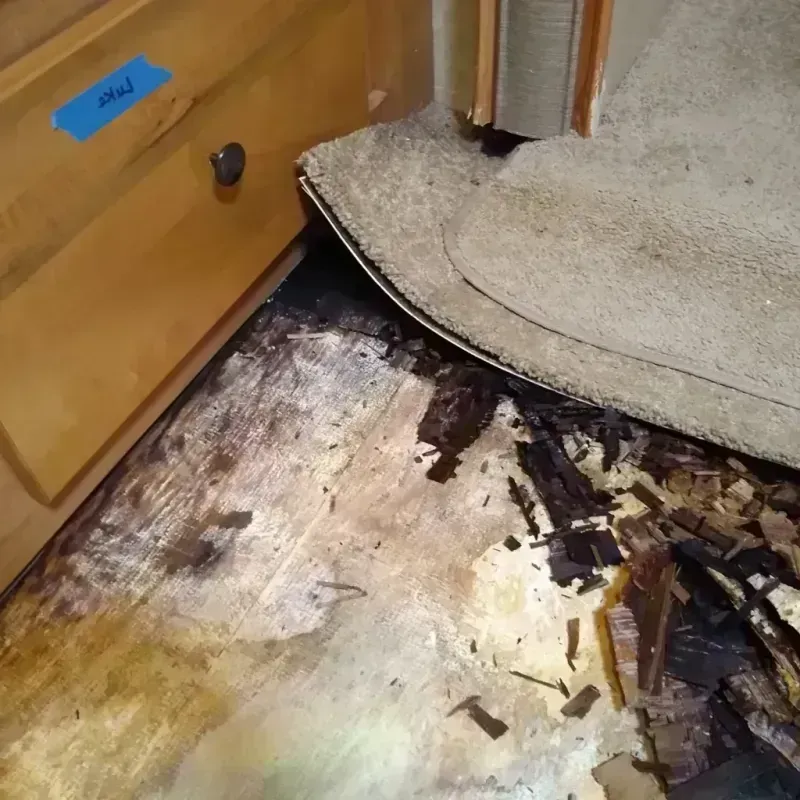 Best Wood Floor Water Damage Service in Noxubee County, MS